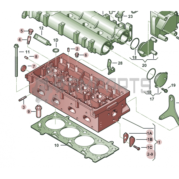 Main Image