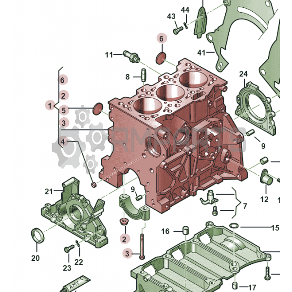 Main Image