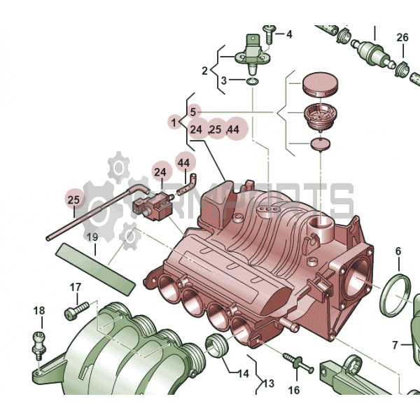 Main Image