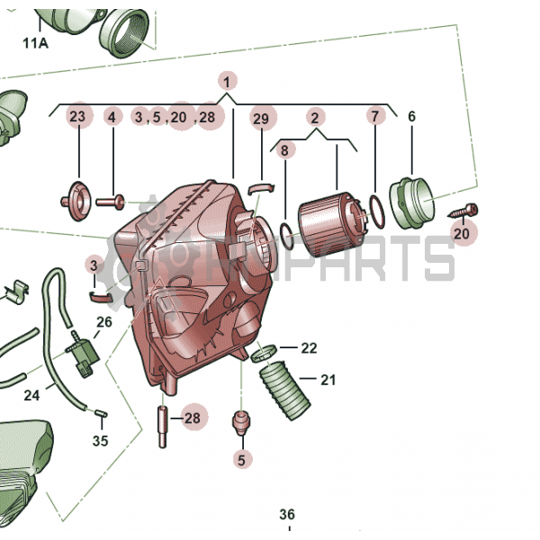 Main Image
