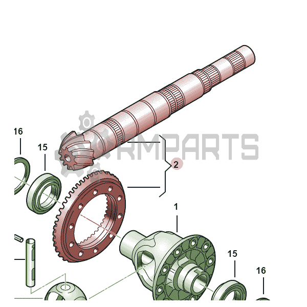 Main Image