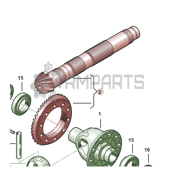 Main Image